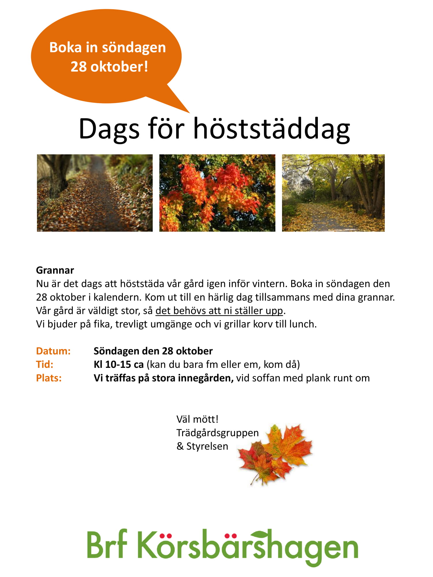 Städdag höstträdgård 2018 28 okt-1